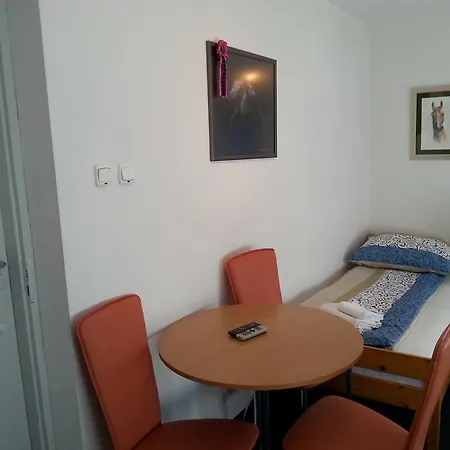 Noclegi Przy Stadninie Janów Podlaski Camera foto