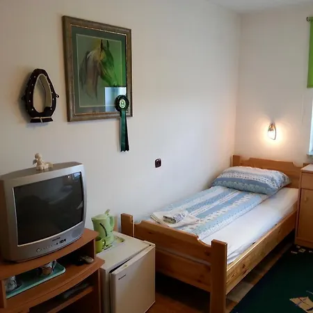 Noclegi Przy Stadninie Janów Podlaski Camera foto