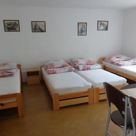 Noclegi Przy Stadninie Janów Podlaski Camera foto